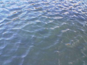 Water_surface_lake