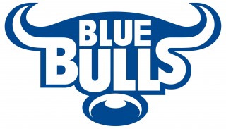 Blue-Bulls-company-logo-320x183