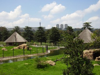 Die Johannesburgse dieretuin. Foto: kanwischerstrassberger.com