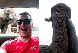 Scott Brierley  se selfie links en Latabe se selfie regs