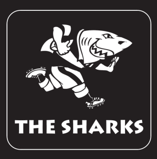 Grafika: sharksrugby.co.za
