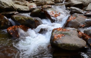 stream-flowing-over-rocks