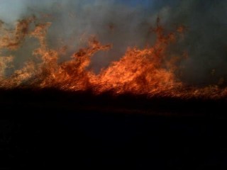 Een van die veldbrande wat langs die N11 gewoed het. Foto: ER24 / Twitter