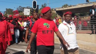 Julius Malema, leier van die EFF. Foto: EFF / Facebook 