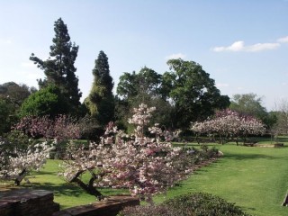 'n Gedeelte van die roostuin by die Johannesburgse Botaniese Tuin in Emmarentia Foto: NJR ZA via Wikimedia Commons