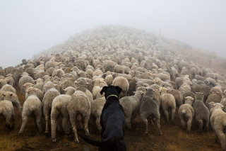 Een van Andrew Fladeboe se foto's uit die projek, "The Shepherd's Realm" Foto: Andrew Fladeboe