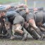 rugbyskrum_wisegeek_com.jpg