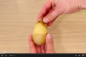 DaveHax-aartappels-skil