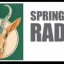 Springbok-Radio