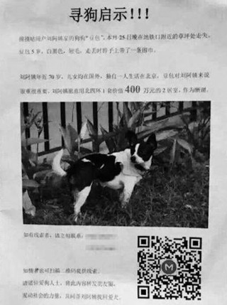 Die plakkaat wat me Liu van haar hond opgesit het (Beijing Youth Daily)