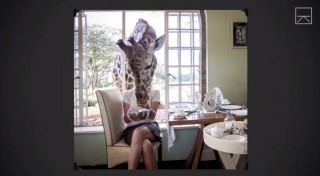 Een van Roger Moore se foto's by Giraffe Manor in Kenia
