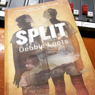 Split-deur-Debbie-Loots
