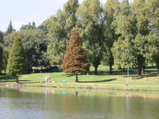 Rhodespark in Kensington, Johannesburg (Foto:  ttruluck, panoramio.com)