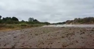 'n Video wys hoe die Limpoporivier afkom. Foto: Skermskoot uit die video
