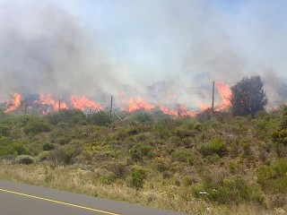 Die brand op die berghange van die Kaapstadse woonbuurt, Glencairn Heights. Foto: ANA