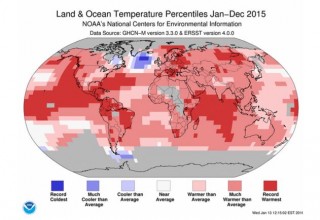 2015 se gemiddelde temperatuur van Januarie tot Desember. Foto: NOAA