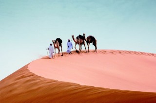 Abu Dhabi-kameelfees