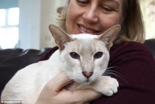 Julie Baggot en haar kat, Cupcake, is weer herenig (Foto: SWNS.com)