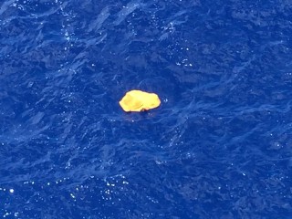 Een van die oranje items  wat in die Middellandse See gevind is en glo van die EgyptAir-vliegtuig afkomstig is. Foto: Facebook