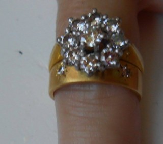 Die ring wat Marlene Els opgetel het. Foto: Facebook via Marlene Els