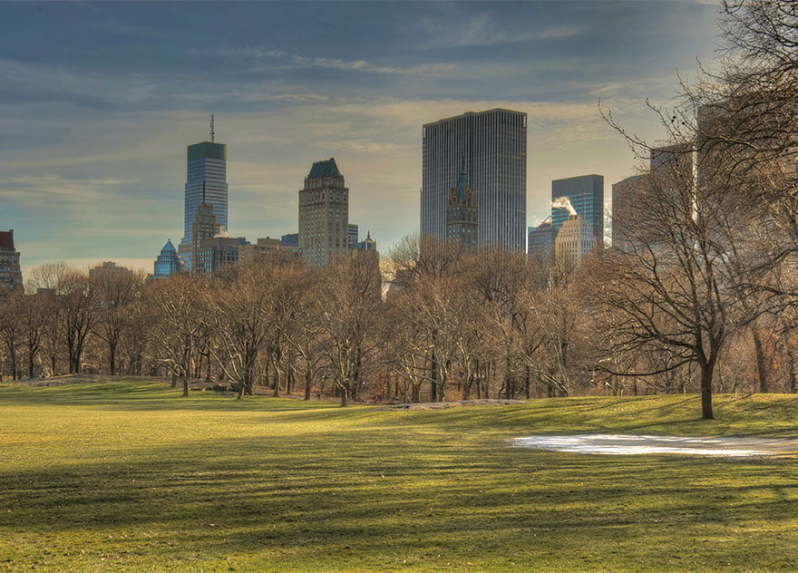 Sheep Meadow in New York, Central Park. Foto: Traveltriangle.com