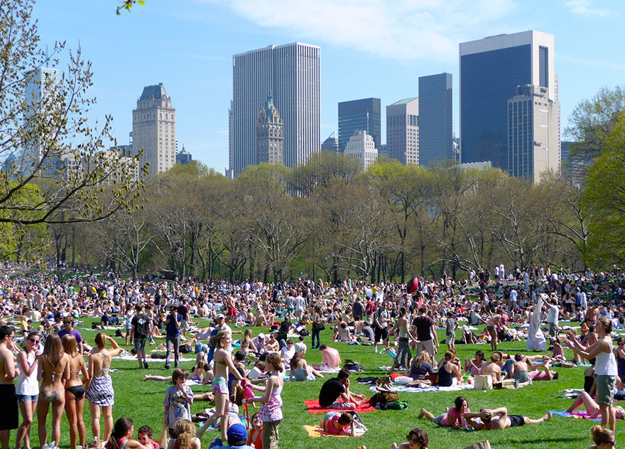 Sheep Meadow in New York, Central Park. Foto: Traveltriangle.com