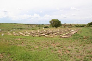 Die Winburg-konsentrasiekamp-begraafplaas. Foto: AfriForum