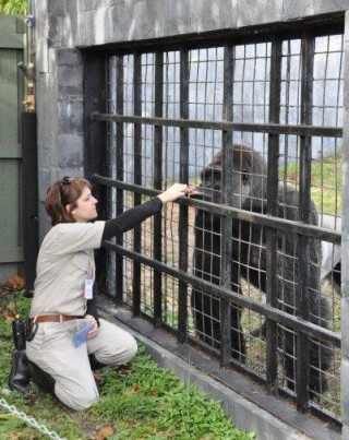 Amanda O'Donoughue saam met 'n Gorilla in 2009. Foto: Facebook/Amanda O'Donoughue
