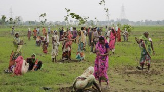 Vroue van Indië plant bome aan die buitewyke van Allahabad, Indië (AP Photo/Rajesh Kumar Singh)