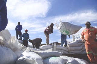 AfriForum het Donderdag 85 ton voer aan boere van die droogtegeteisterde gebied Reddersburg in die Vrystaat geskenk. Foto: Verskaf