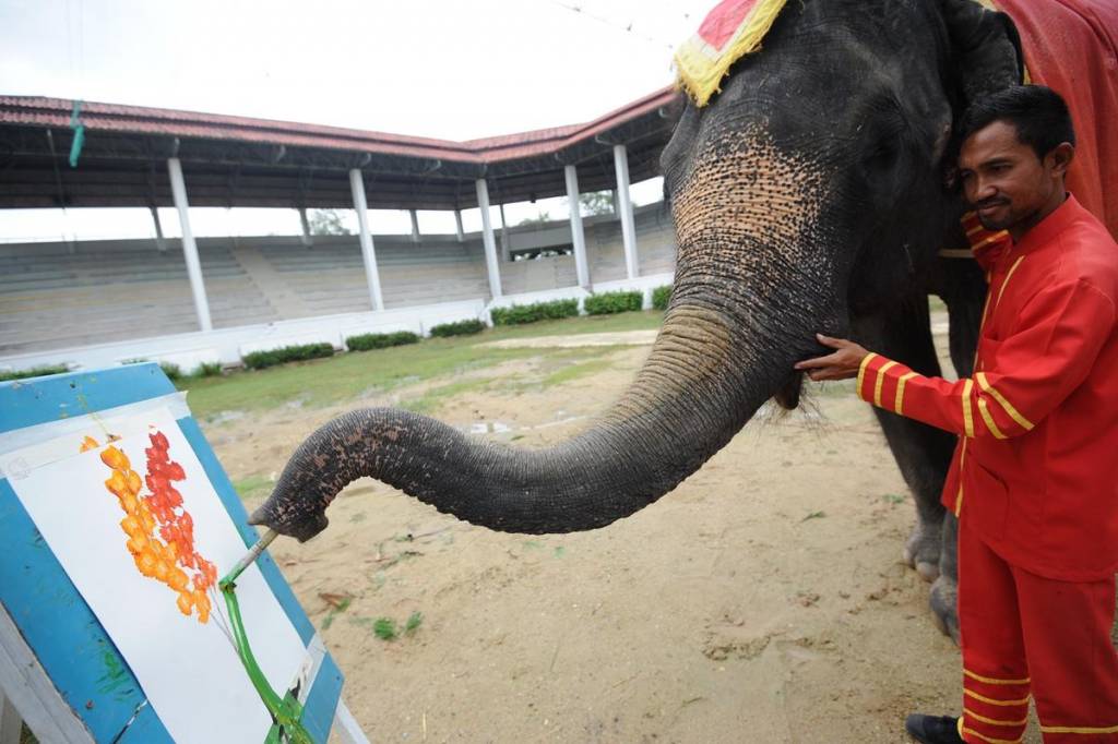 Bunmee, ŉ olifant wat 22 jaar oud is, verf ŉ waterverfskildery met sy slurp in ŉ dierentuin in Bangkok, Thailand. Foto: Xinhua/Rachen Sageamsak