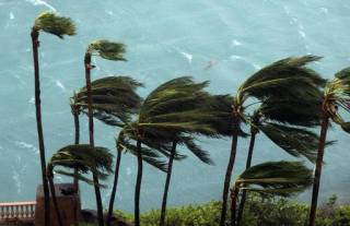 Palmbome op Paradise-eiland in Nassau, Bahamas waai Donderdag (6 Oktober 2016) in die stormwinde wat deur Orkaan Matthew veroorsaak is. Foto: AP/Tim Aylen