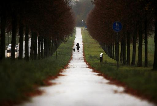 4)ŉ Ou vrou stap met haar hond deur ŉ laning bome in Frankfurt in Duitsland. Foto: AP Photo/Michael Probst