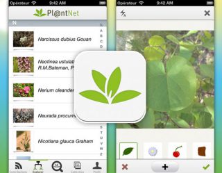 PlantNet (Foto: Google Play)