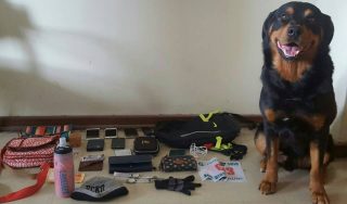 Bonzo, ŉ polisiehond, by van die gesteelde goedere wat teruggevind is. Foto: SAPD