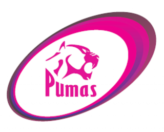 pumas-amateurs-logo