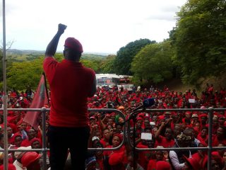 Julius Malema. Argieffoto: @EFFSouthAfrica/Twitter