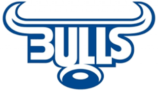 bulls-logo
