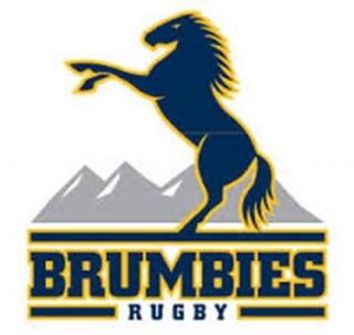 brumbies-logo-groot