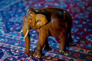 olifant-in-die-vertrek-jronaldlee-flickr-com
