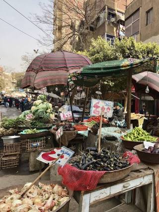 Ou Kaïro Foto: Thomas Dreyer (verskaf aan Maroela Media)