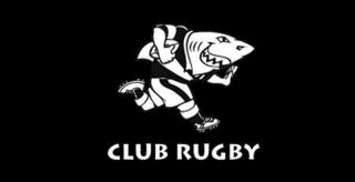 sharks-club-rugby