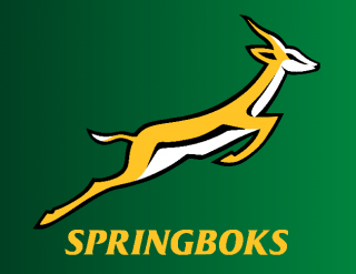 springbok-logo-cropped