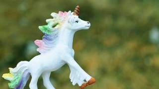 eenhoring-unicorn