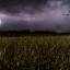 land-grond-landbou-onweer-donderweer-weerlig-wolke-deur-eugene-triguba-unsplash