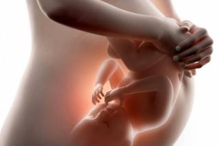 fetus-derde-trimester