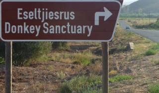 (Foto: Eseltjiesrus Donkey Sanctuary)