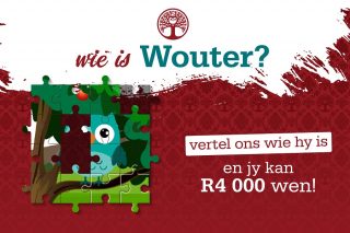   who-is-wouter-article-3.jpg